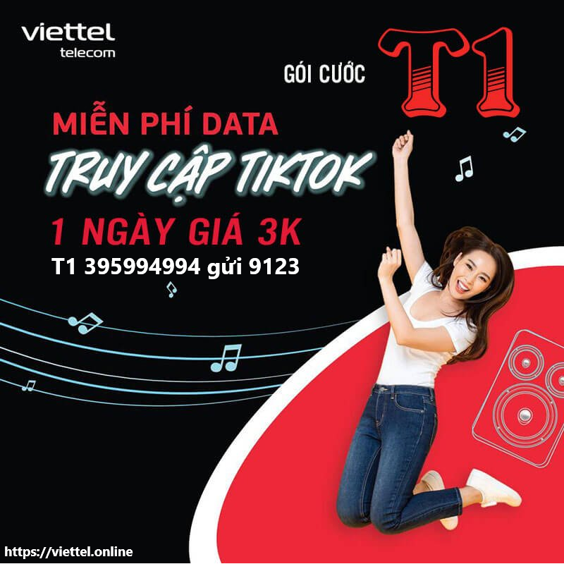 Gói cước T1 Viettel